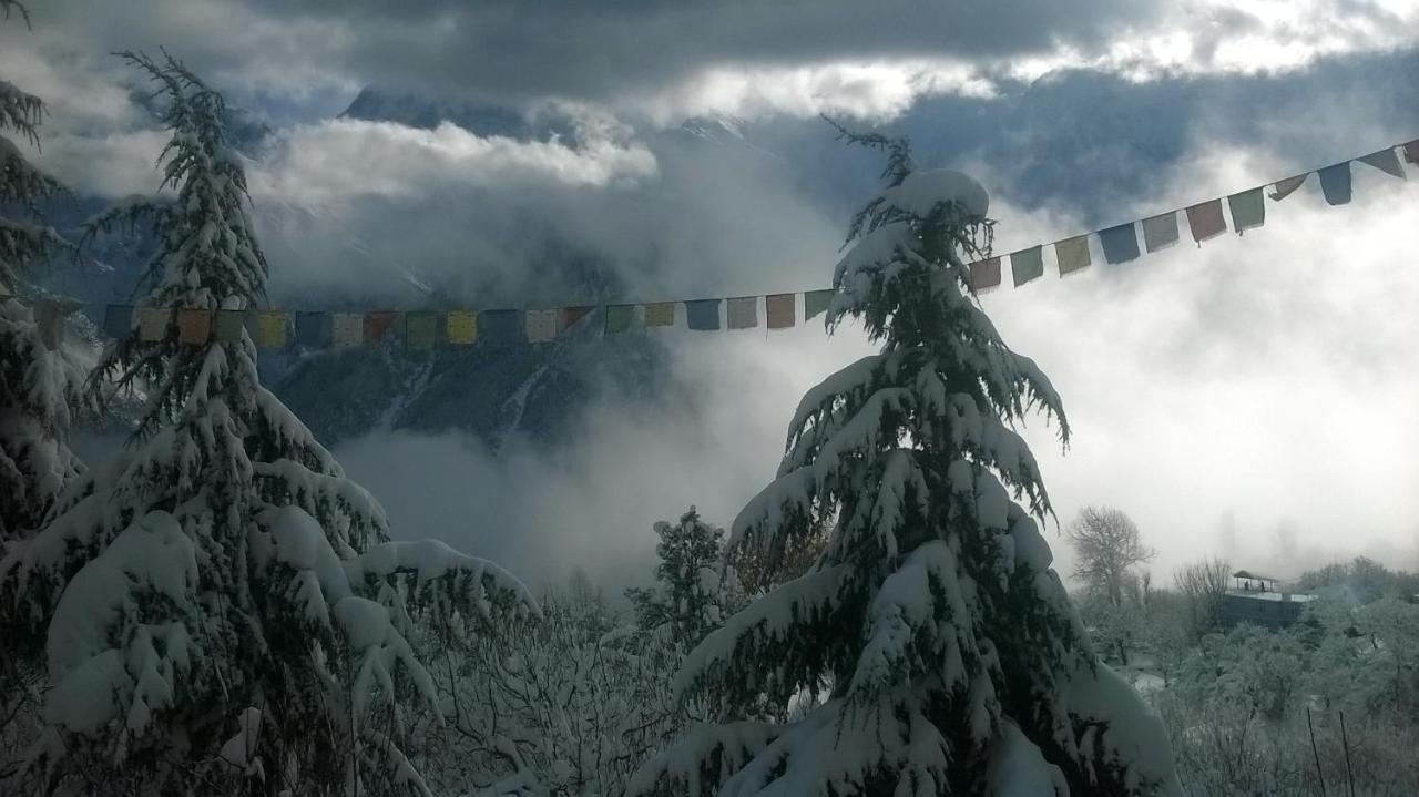 Farmvilla Homestay Kalpa Buitenkant foto